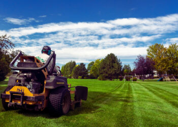 professional lawn care services in Knoxville