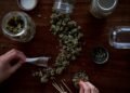 Why Choosing a Quality Pot Dispensary Matters: A Guide for New Users