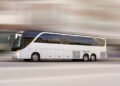 Why Families Visit the Houston Zoo with Charter Bus Rental 2 Why Families Visit the Houston Zoo with Charter Bus Rental