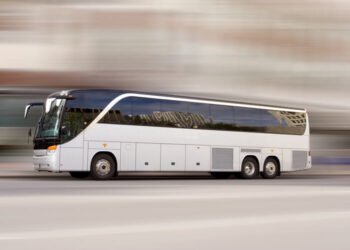 Why Families Visit the Houston Zoo with  Charter Bus Rental