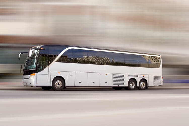 Why Families Visit the Houston Zoo with  Charter Bus Rental