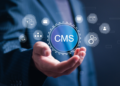 Building Interactive Fan Experiences with Headless CMS Architecture