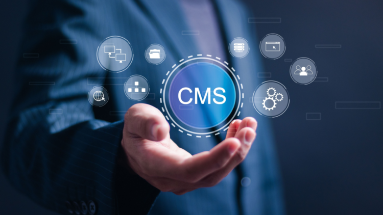 Building Interactive Fan Experiences with Headless CMS Architecture